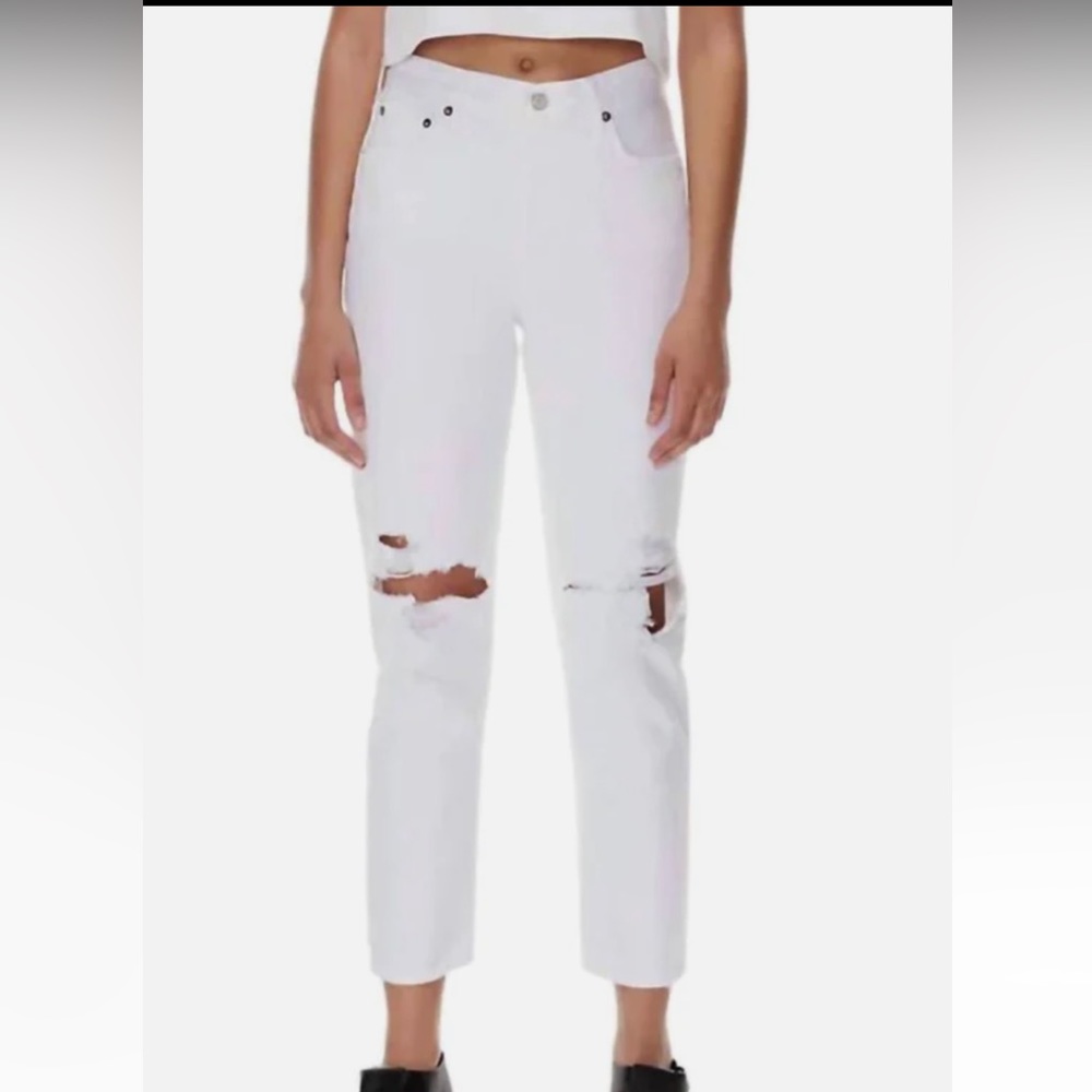 NEW Agolde Fen High Rise Relaxed Denim